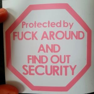 Protected by F around and find out security permanent vinyl pink